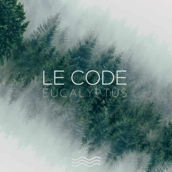 Le Code - Lazy Day