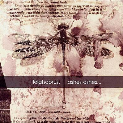 Leiahdorus - Indigent