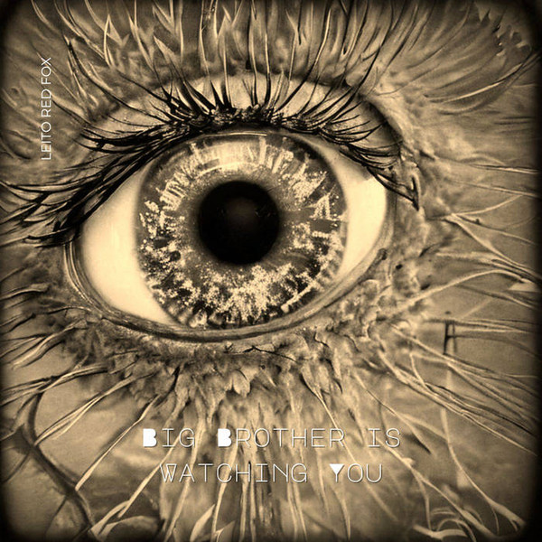 Leito Red Fox - Echoes of the Void