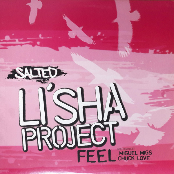 Li'sha Project - Feel (MIguel Migs Pump the Tech Mix)