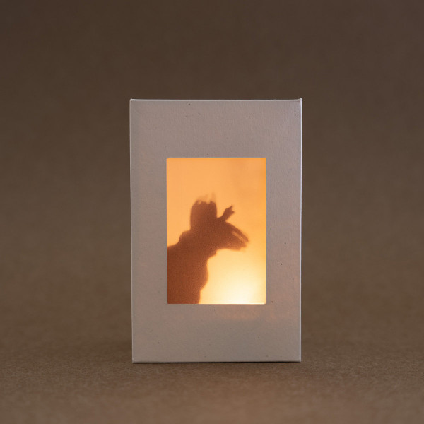 Liis Ring - after-image I: nothing stands still