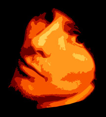 Limacon - Sans Rip