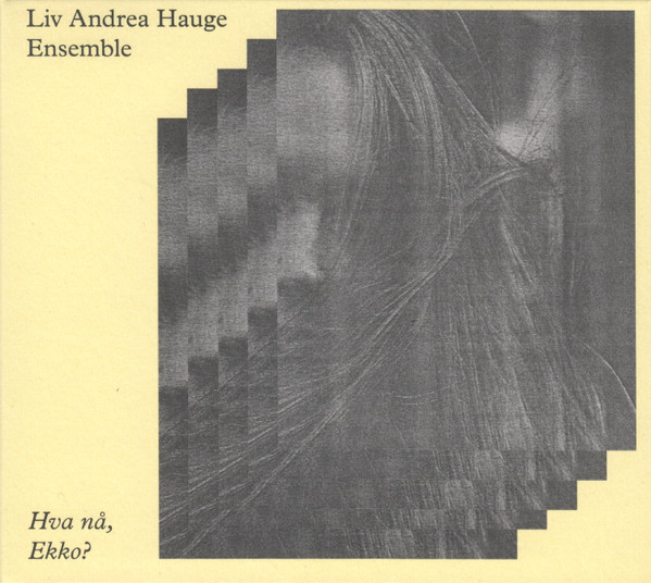 Liv Andrea Hauge Ensemble - Follow