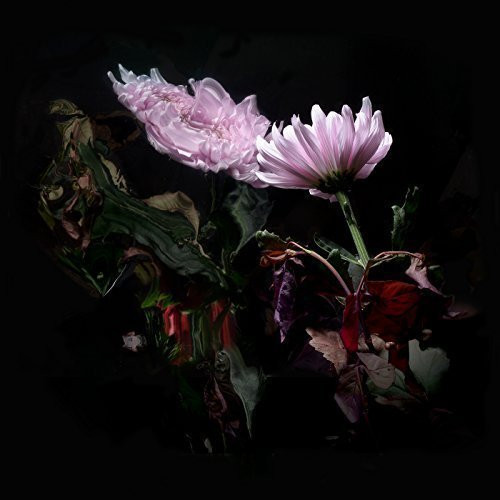 Lo Moon - Loveless
