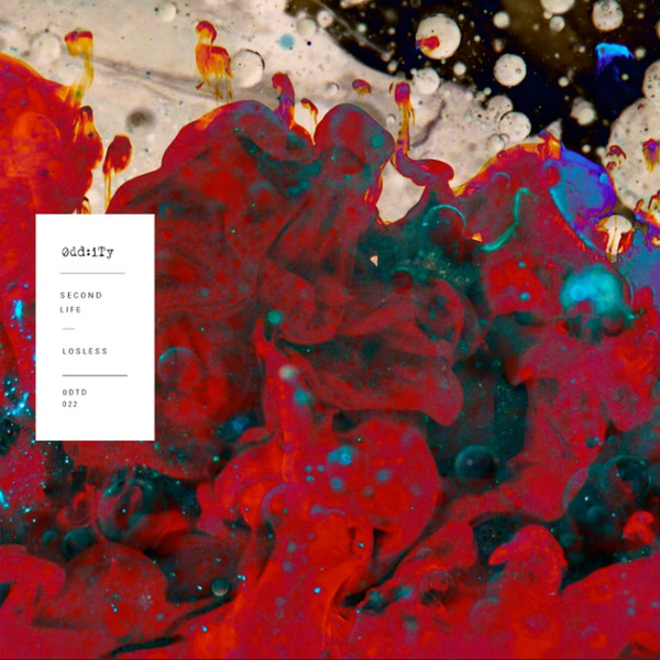 Losless - Synecku - 2012 Mix