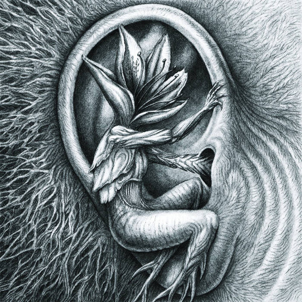 Lotus Thief - Agamemnon