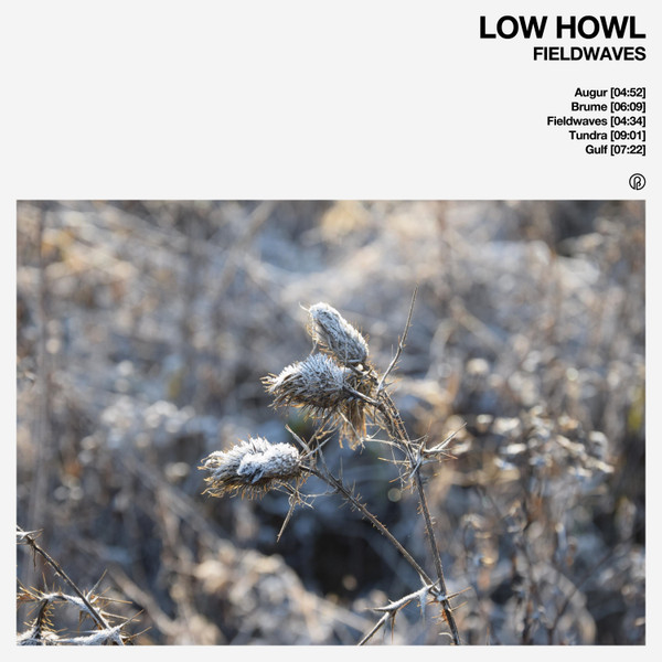 Low Howl - Tundra