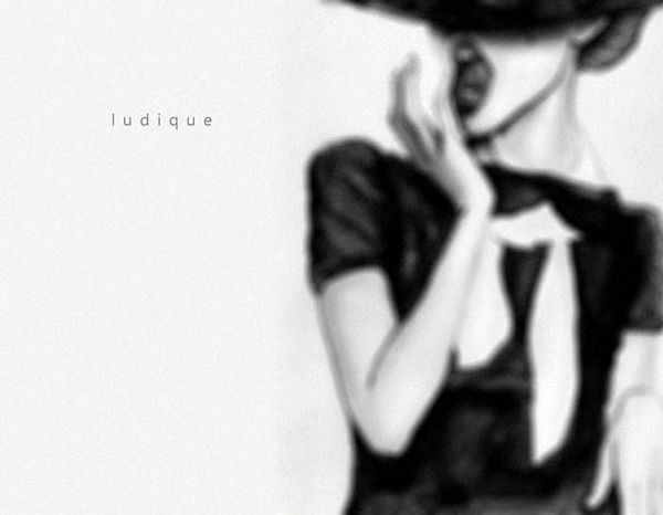 Ludique - Learning the ropes