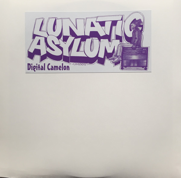 Lunatic Asylum - The Meltdown