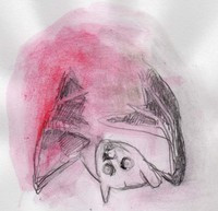 Métal Rouge - Imago, Imago