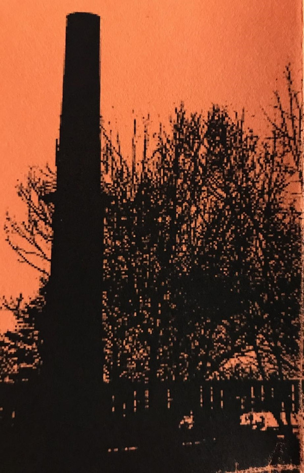 Mörkrvörte - Dark Fungal Grove