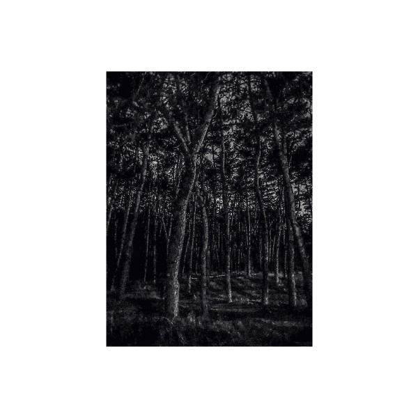 MONOTRONIQUE - Midnight Call