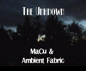 MaCu & Ambient Fabric - Swarm