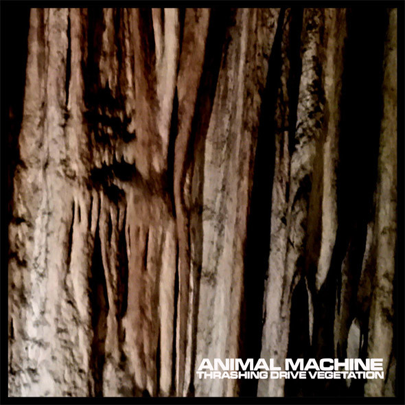 Machine Animal - Inside Out