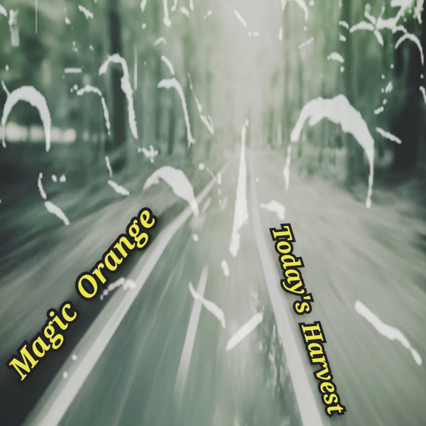 Magic Orange - Visit Of Memories