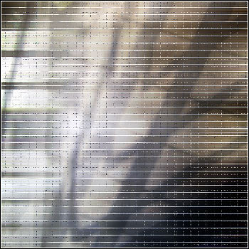 Maikko - Kodak Moment