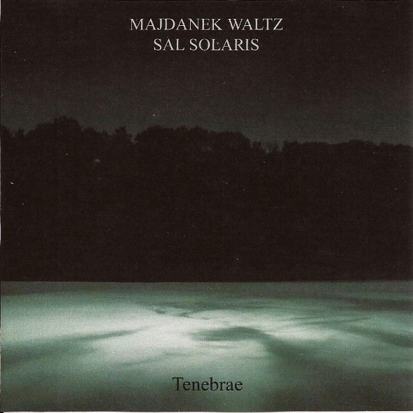 Majdanek Waltz & Sal Solaris - Поля