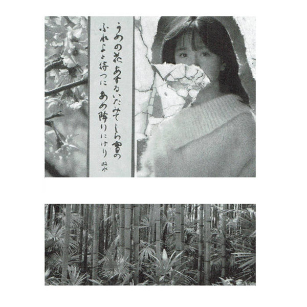 Marble Wings - ghost