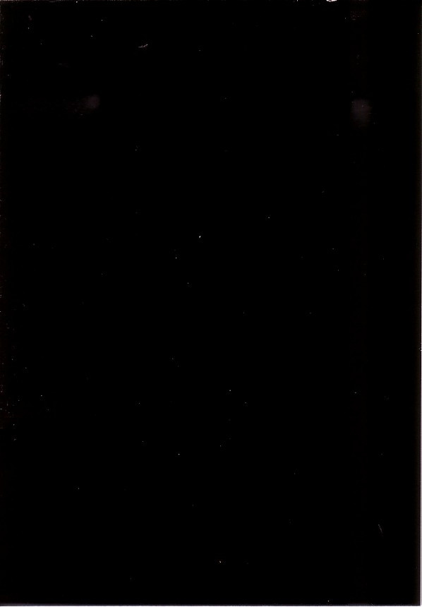 Marc Baron - 1991-2005