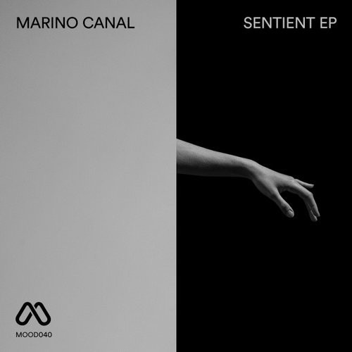 Marino Canal - Curious Eyes