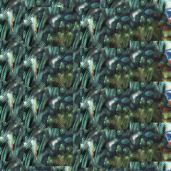 Mark McGuire - Wonderland of Living Things