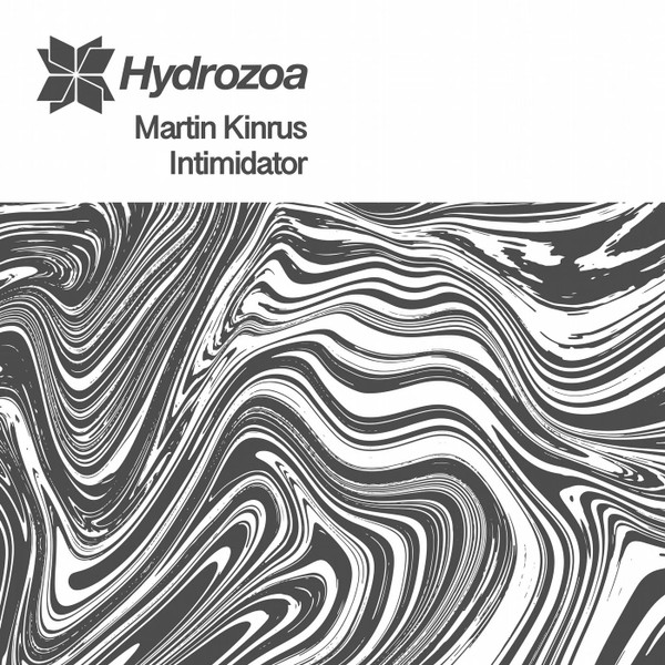 Martin Kinrus - Choosing You