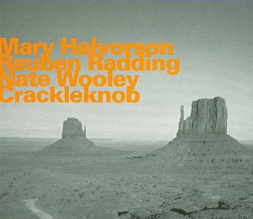 Mary Halvorson, Reuben Radding, Nate Wooley - The Poor Chew Words To Fill Their Stomachs