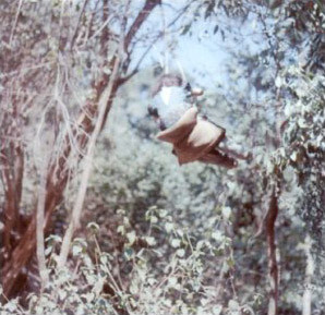 Masakatsu Takagi - Ooharu