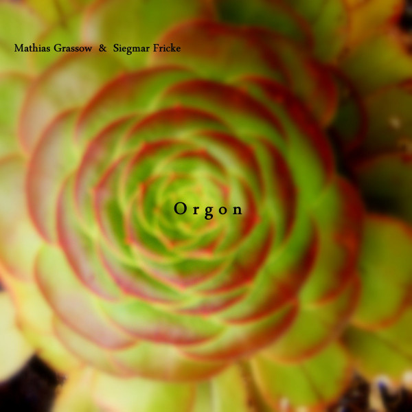 Mathias Grassow & Siegmar Fricke - Liquid clouds