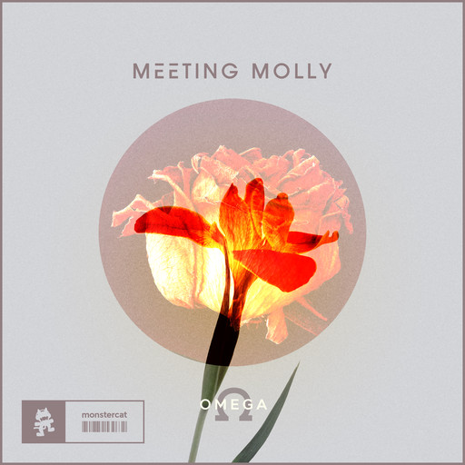 Meeting Molly - Phenomenal - Original Mix