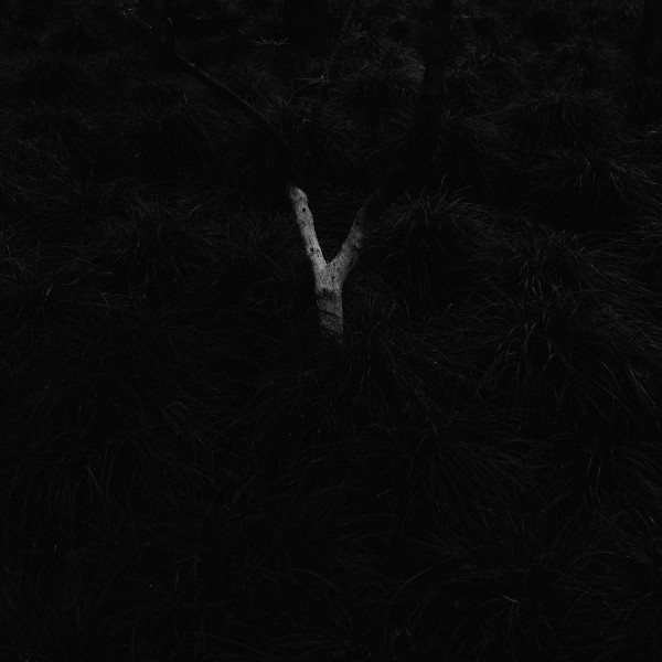 Megcsillan - V