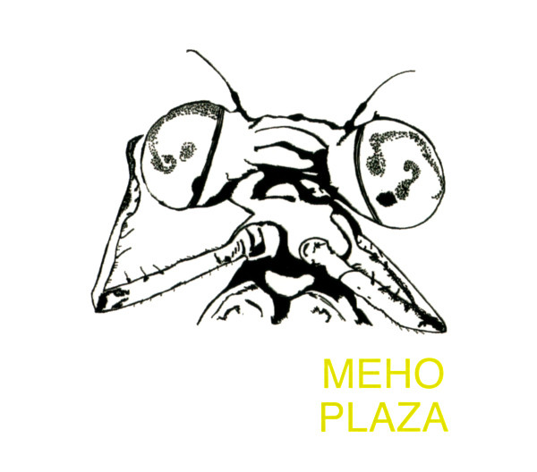 Meho Plaza - Your Future Looks Bright