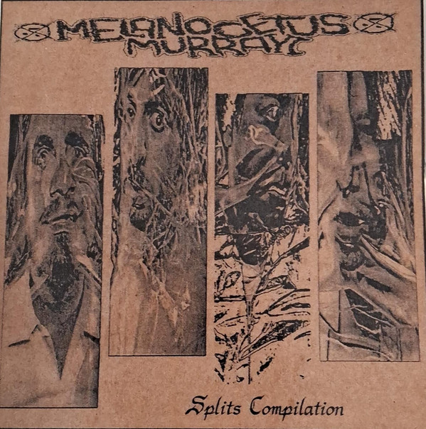 Melanocetus Murrayi - Untitled