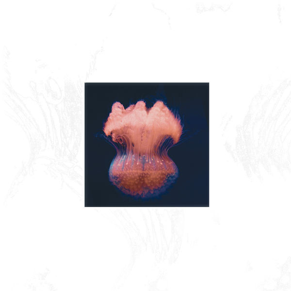 Merdh Laleh - A/not A breach, repeat