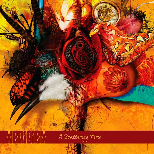Meridiem - Where You Stand