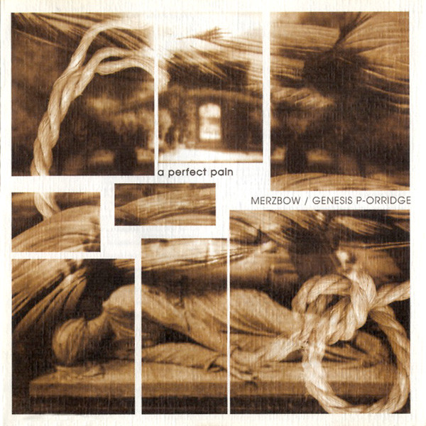 Merzbow & Genesis P-Orridge - All Beauty Is Our Enemy