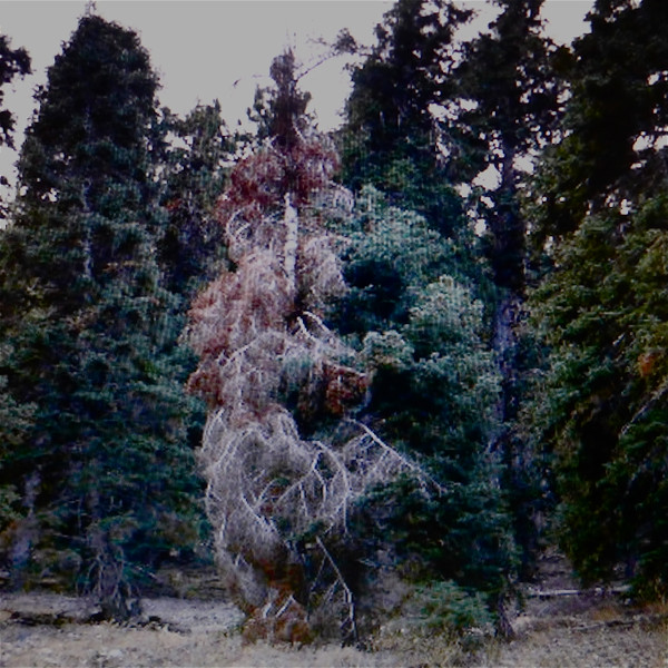 Merzbow & Xiu Xiu - Merzxiu A
