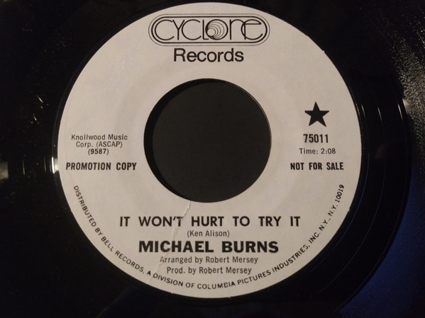 Michael Burns - The Ambience