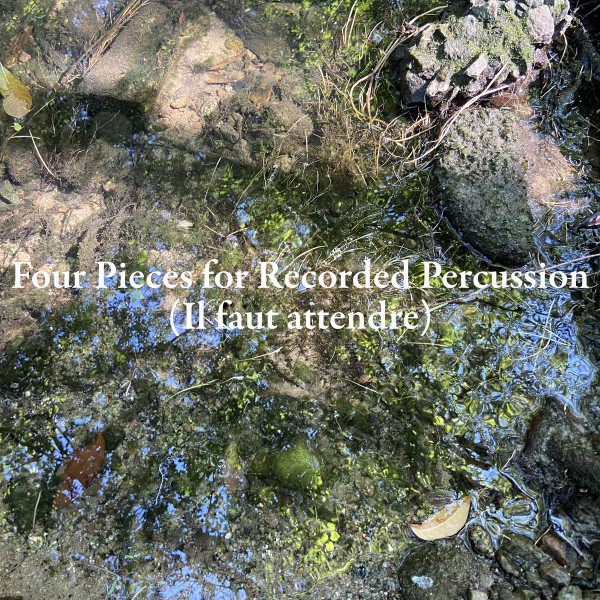 Michael Pisaro & Greg Stuart - Congaree Nomads