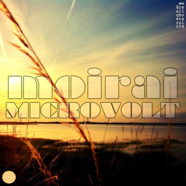 Microvolt - In the stillness of the night