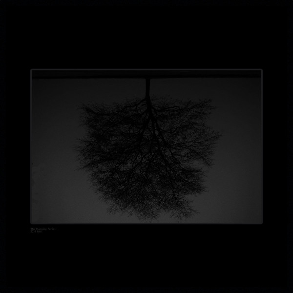 Miii - Relation