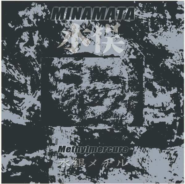 Minamata - Niigata fetal case