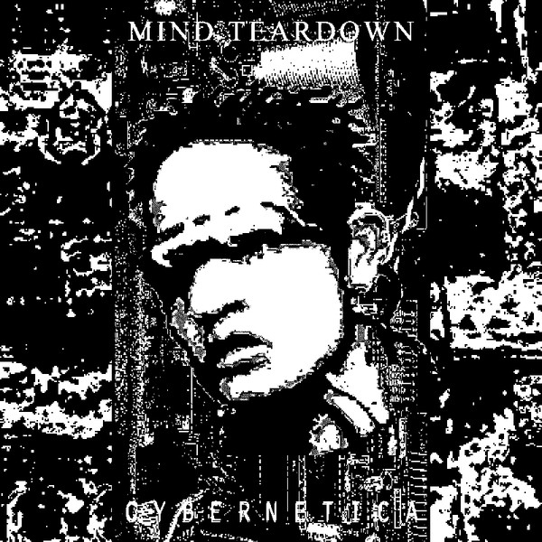 Mind Teardown - Wireframe Genocide