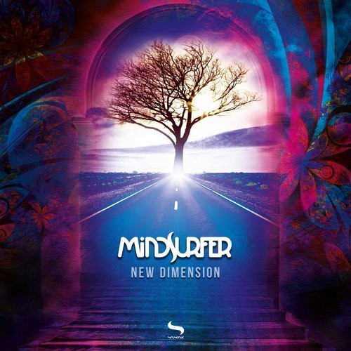 Mindsurfer - Narayana