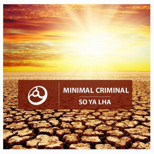 Minimal Criminal - Alice in Acidland