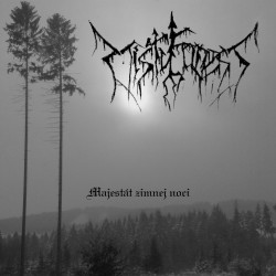 Misty Forest - V chlade zimnej noci