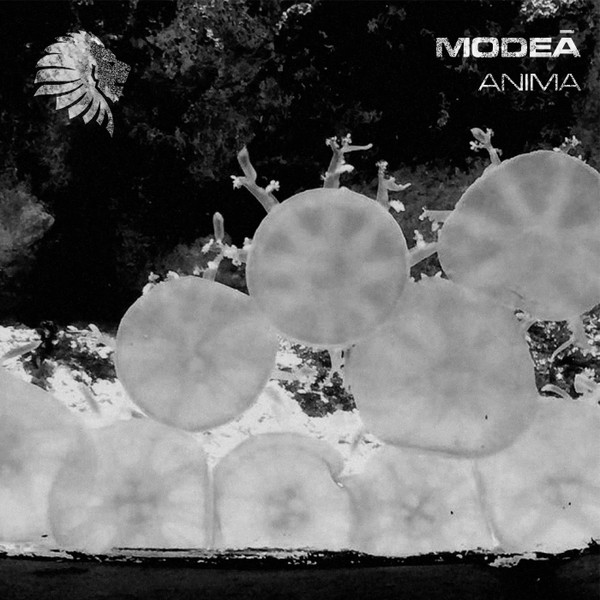 Modeā - Ready to Fly