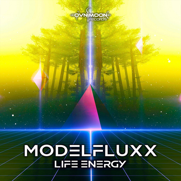 ModelFluxx - Total Expression