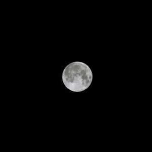 Moon Phantoms - Dance of the Moon Phantoms