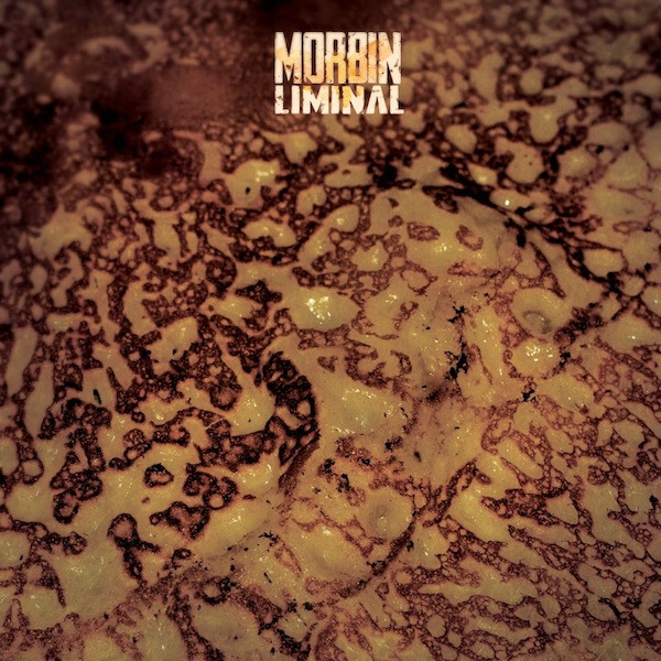 Morbin - Bengali Hop